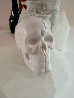 White glossy ceramic skull